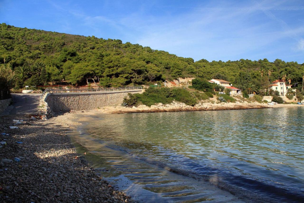 Apartments By The Sea Milna, Vis - 8946 Рукавац Екстер'єр фото